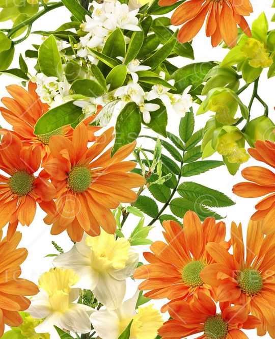 欧美印花华亿平台图片