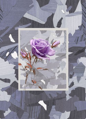 519880-几何玫瑰华亿平台