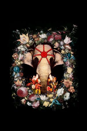 潮流时尚印花华亿平台图片