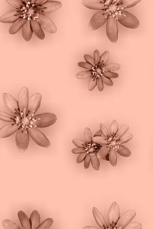 流行时尚印花华亿平台图片