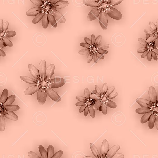 流行时尚印花华亿平台图片