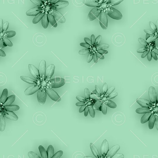 流行时尚印花华亿平台图片