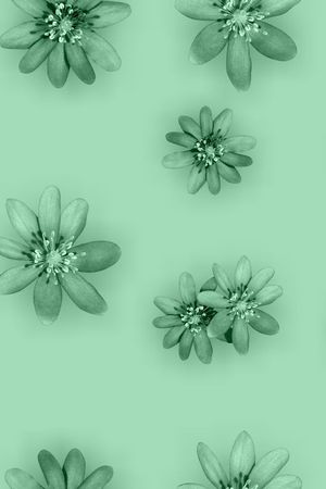 流行时尚印花华亿平台图片