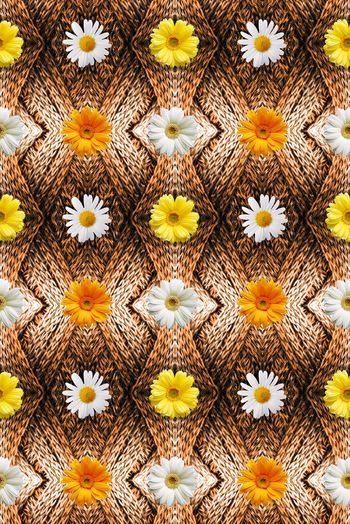 520132-时尚潮流 织纹 小白菊 菊花 服装