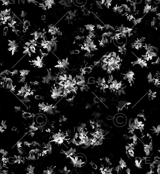 时尚印花华亿平台图片