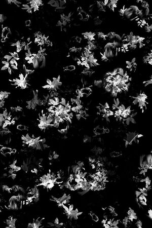 时尚印花华亿平台图片