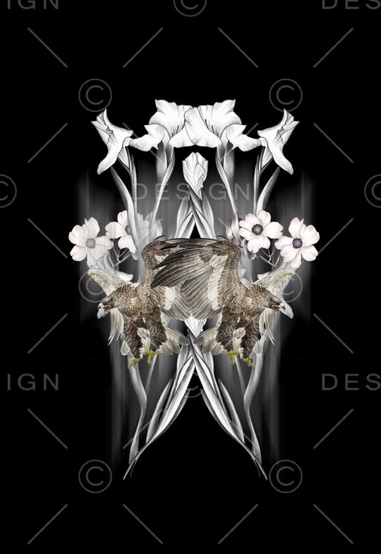 T桖卫衣印花华亿平台图片