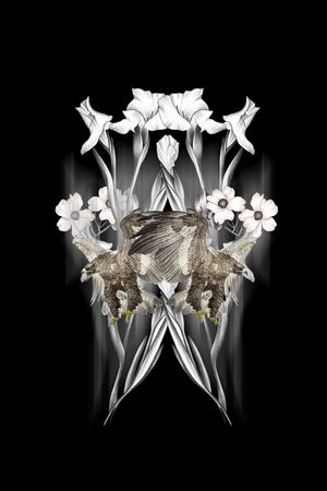 T桖卫衣印花华亿平台图片