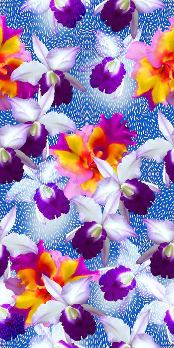 520893-时尚 水彩 花卉 兰花   数码 