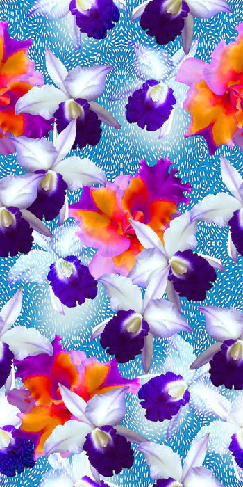 520895-时尚 水彩 花卉 兰花   数码 