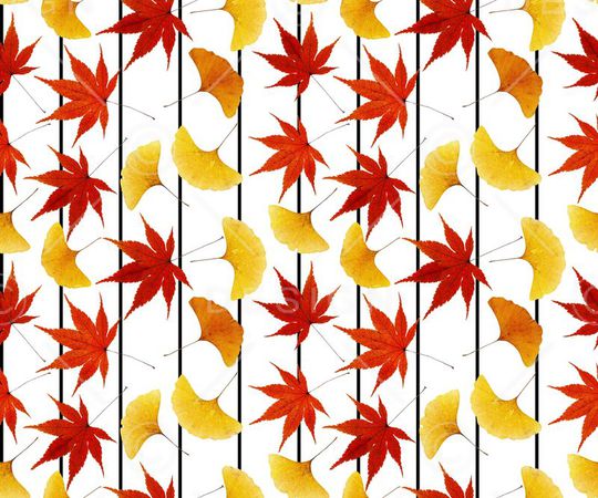 枫叶、红叶、黄叶、树叶、条纹印花华亿平台图片