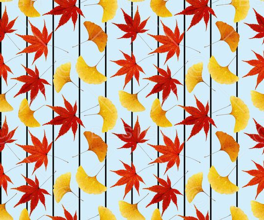 枫叶、红叶、黄叶、树叶、条纹印花华亿平台图片