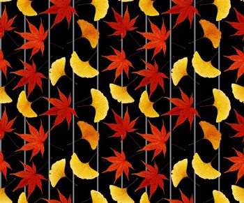520977-枫叶红叶黄叶树叶条纹