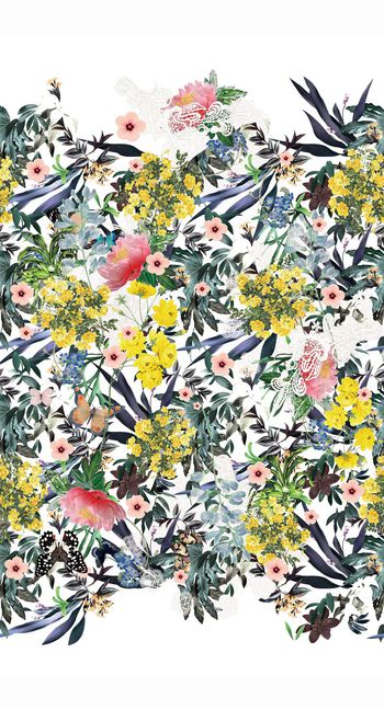 521045-原创大牌植物 花卉 蝴蝶 定位华亿平台