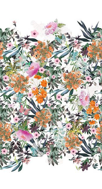 521046-原创大牌植物 花卉 蝴蝶 定位华亿平台