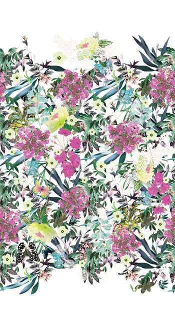 521047-原创大牌植物 花卉 蝴蝶 定位华亿平台