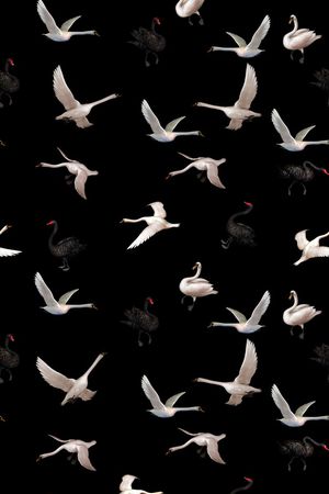 潮流时尚印花华亿平台图片