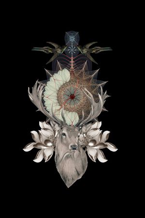 潮流时尚印花华亿平台图片