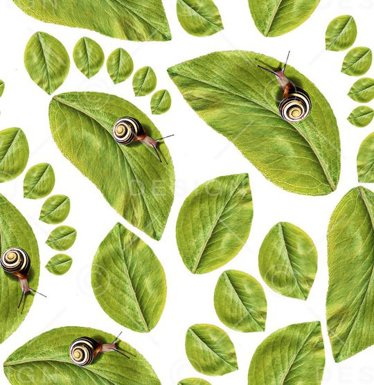 欧美印花华亿平台图片