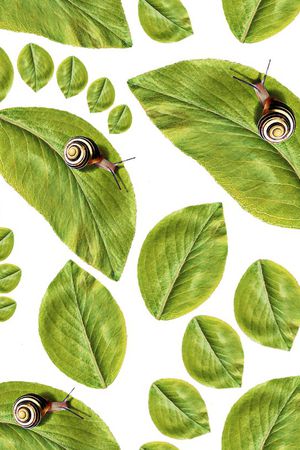 欧美印花华亿平台图片