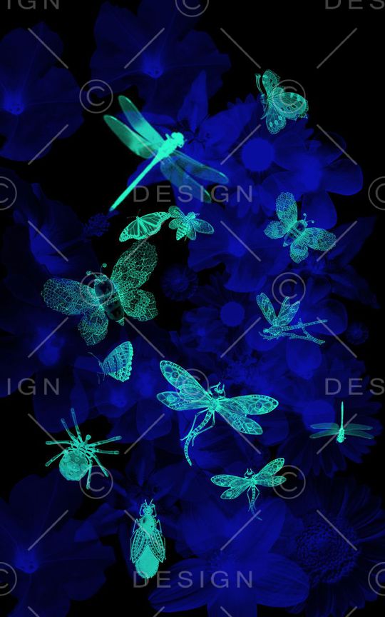 服装印花华亿平台图片