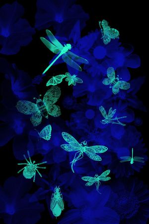 服装印花华亿平台图片