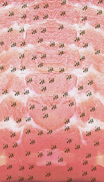 自然印花华亿平台图片