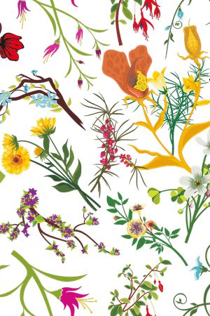 欧美印花华亿平台图片