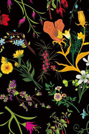 欧美印花华亿平台图片