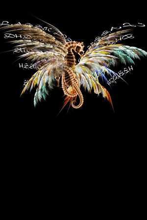 just cavalli印花华亿平台图片