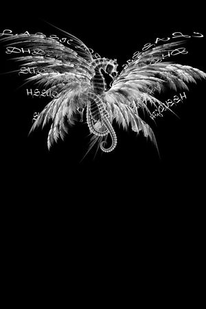 just cavalli印花华亿平台图片