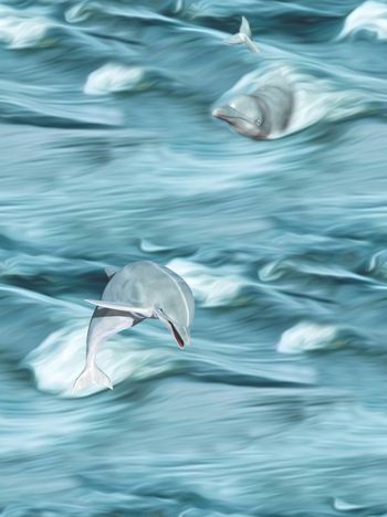 521247-时尚潮流大牌艺术家纺日落海景海鸥图