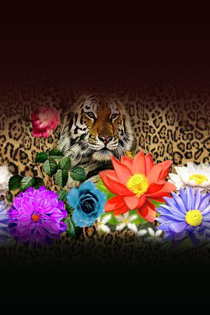 豹纹印花华亿平台图片