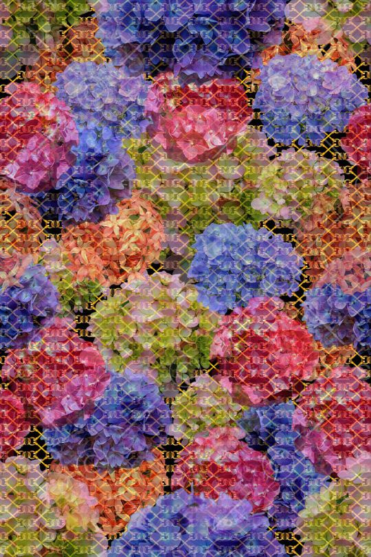 流行时尚印花华亿平台图片