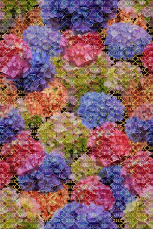 流行时尚印花华亿平台图片