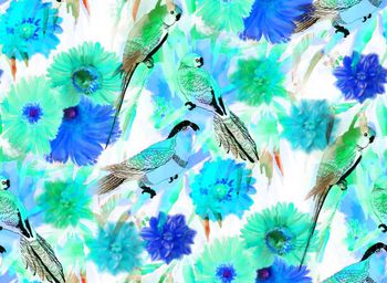 521424-水彩风鹦鹉