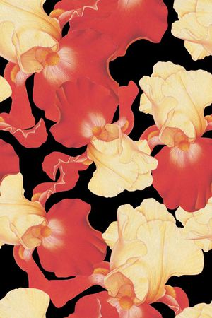 大牌印花华亿平台图片