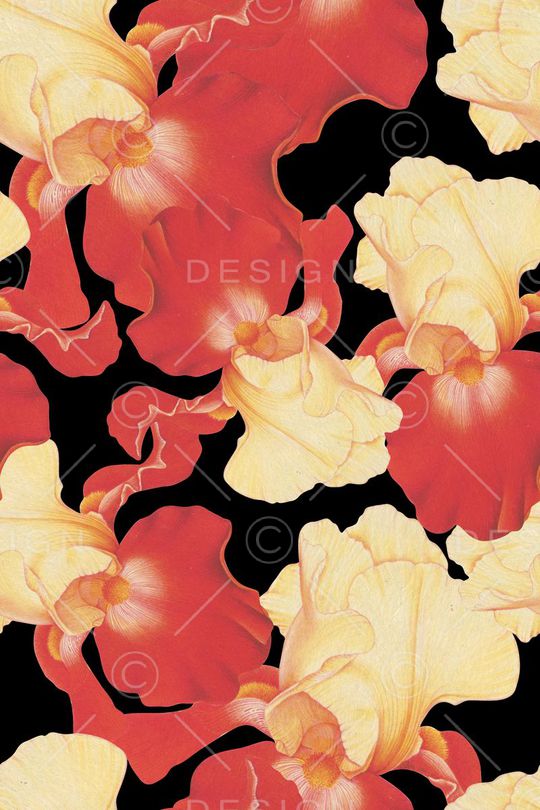 大牌印花华亿平台图片