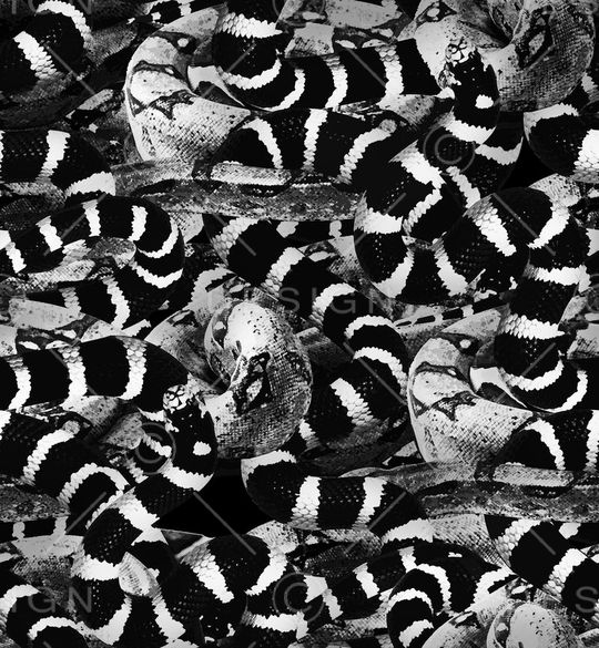 大牌印花华亿平台图片