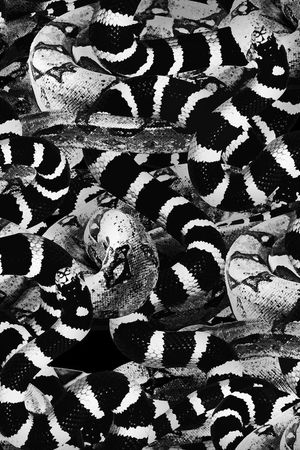 大牌印花华亿平台图片