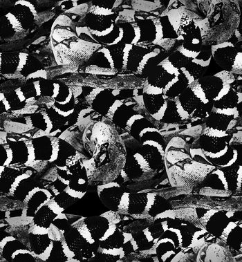 大牌印花华亿平台图片