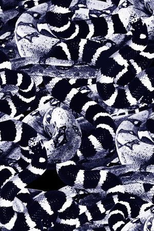 大牌印花华亿平台图片