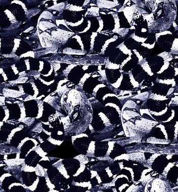 521559-大牌数码蛇纹