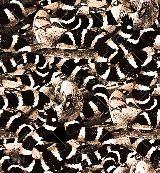 大牌印花华亿平台图片