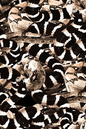 大牌印花华亿平台图片