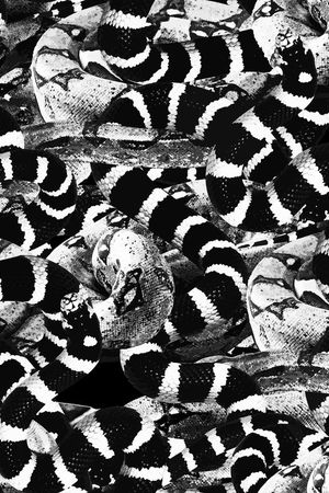 大牌印花华亿平台图片