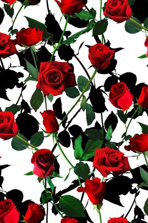 大牌印花华亿平台图片