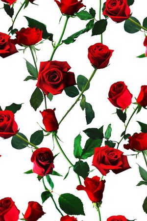 大牌印花华亿平台图片