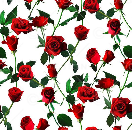 大牌印花华亿平台图片