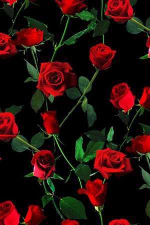 大牌印花华亿平台图片